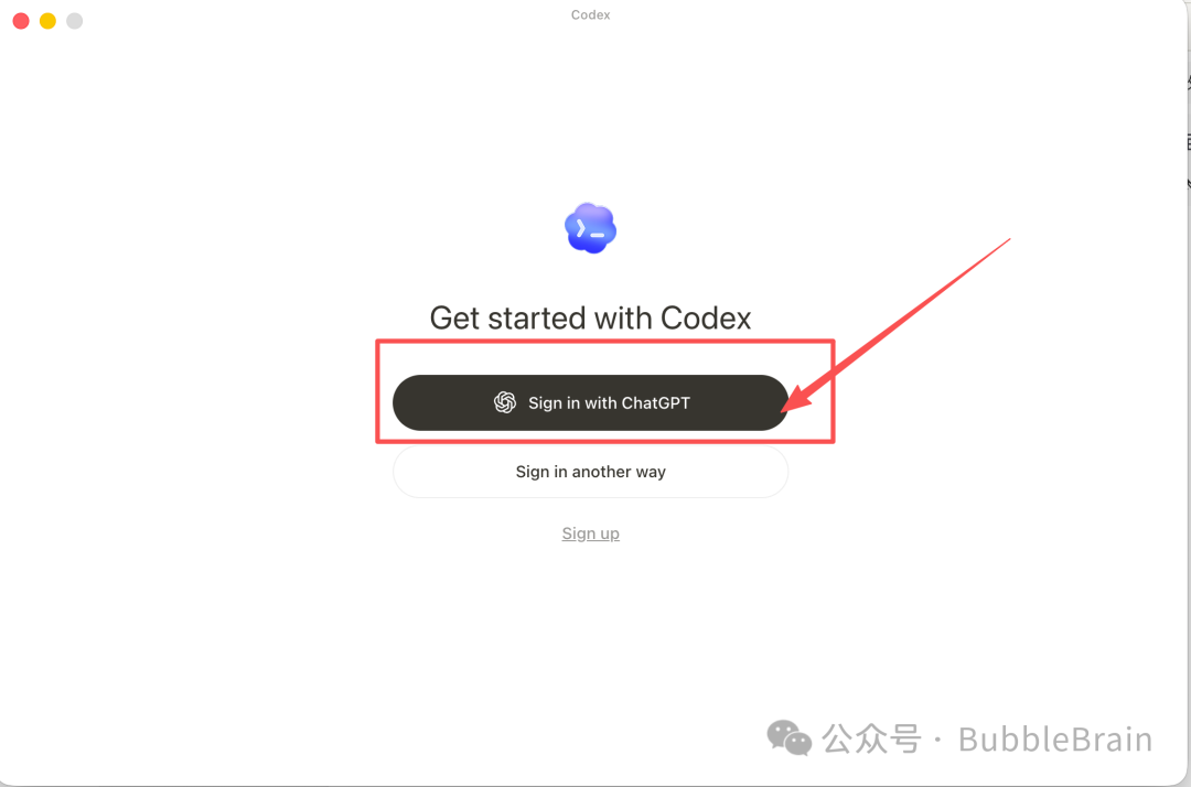 Codex App 登录界面