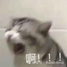 对 AI 模型口头禅感到崩溃的表情