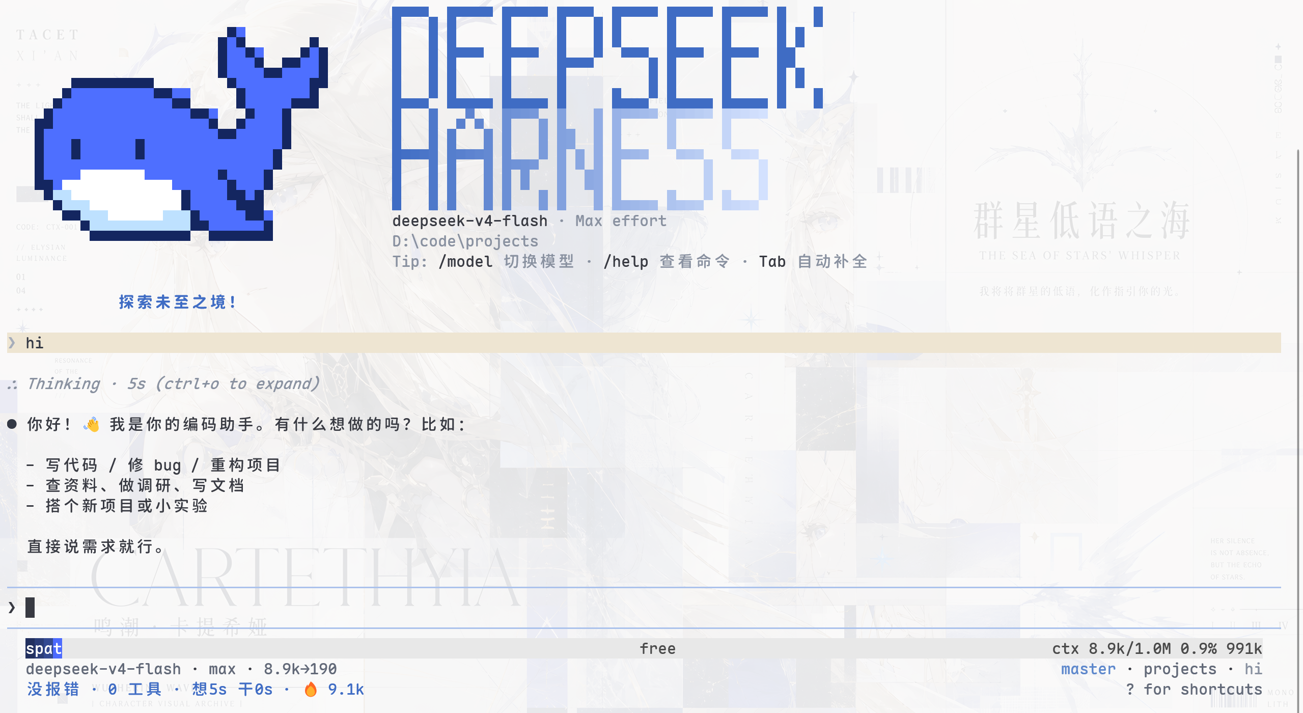dsh-cc-tui 启动后的终端首屏