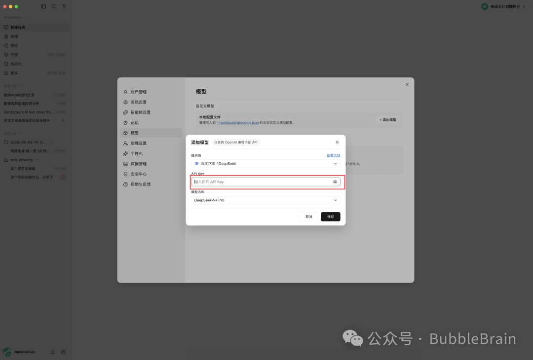 DeepSeek 模型配置项