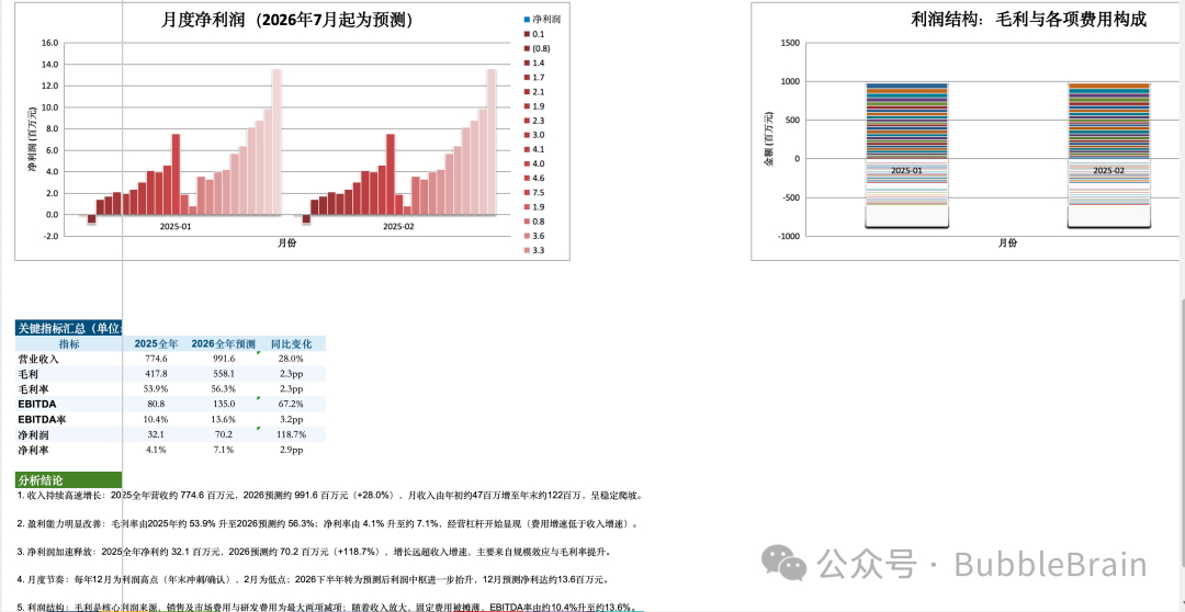 Excel 中的分析结论